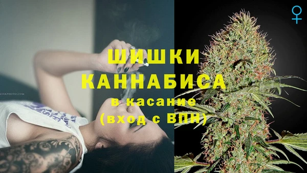 молекула духа Аркадак