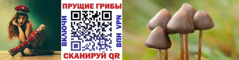 купить наркотик  hydra   Псилоцибиновые грибы Psilocybe  Осташков 